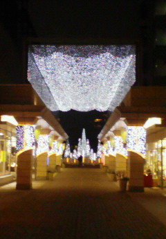 NEC_0030.JPG